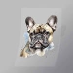 DCAD0001 Cute Pug Direct To Film Transfer Mock Up