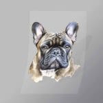 DCAD0002 Blue Steel Pug Direct To Film Transfer Mock Up