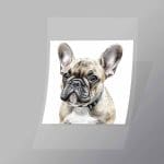 DCAD0003 Curious Pug Direct To Film Transfer Mock Up