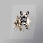 DCAD0004 Leaping Pug Direct To Film Transfer Mock Up