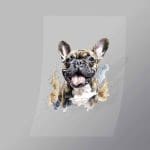 DCAD0005 Happy Pug Direct To Film Transfer Mock Up
