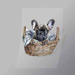 DCAD0006 Basket Pug Direct To Film Transfer Mock Up