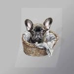 DCAD0008 Cute Basket Pug Direct To Film Transfer Mock Up