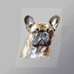 DCAD0009 Grumpy Pug Direct To Film Transfer Mock Up