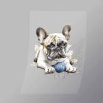 DCAD0011 Ball Playing Pug Direct To Film Transfer Mock Up