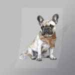 DCAD0012 Bandana Pug Direct To Film Transfer Mock Up