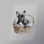 DCAD0013 Basket Pug Direct To Film Transfer Mock Up