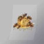 DCAH0014 Honey Bee Home Direct To Film Transfer Mock Up