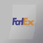 DCCF0027 Fatex Brand Spoof Direct To Film Transfer Mock Up