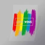 DCLG0043 Love Wins Rainbow Direct To Film Transfer Mock Up