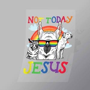 DCLG0067 Not Today Jesus Direct To Film Transfer Mock Up