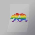 DCLG0096 Pride Bear Direct To Film Transfer Mock Up