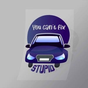 DCMC0001 You Cant Fix Stupid Direct To Film Transfer Mock Up