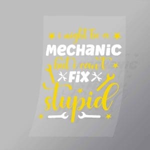 DCMC0016 I Might Be A Mechanic But I Cant Fix Stupid Direct To Film Transfer Mock Up