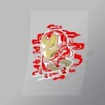 DCPC0146 Iron Skate Direct To Film Transfer Mock Up