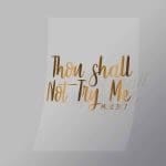 DCQS0053 Thou shall not try me Direct To Film Transfer Mock Up