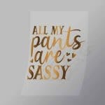 DCQS0059 All my pants are sassy Direct To Film Transfer Mock Up