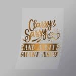 DCQS0064 Classy sassy a bit smart assy Direct To Film Transfer Mock Up