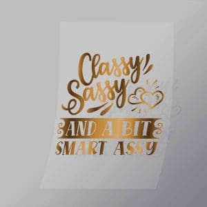 DCQS0064 Classy sassy a bit smart assy Direct To Film Transfer Mock Up