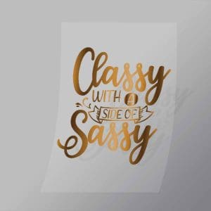 DCQS0066 Classy with a side of sassy Direct To Film Transfer Mock Up