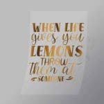 DCQS0078 When life gives you Lemons throw them at someone Direct To Film Transfer Mock Up