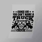 DCTR0110 Come On You Cant Name A Truck After A Chick Direct To Film Transfer Mock Up